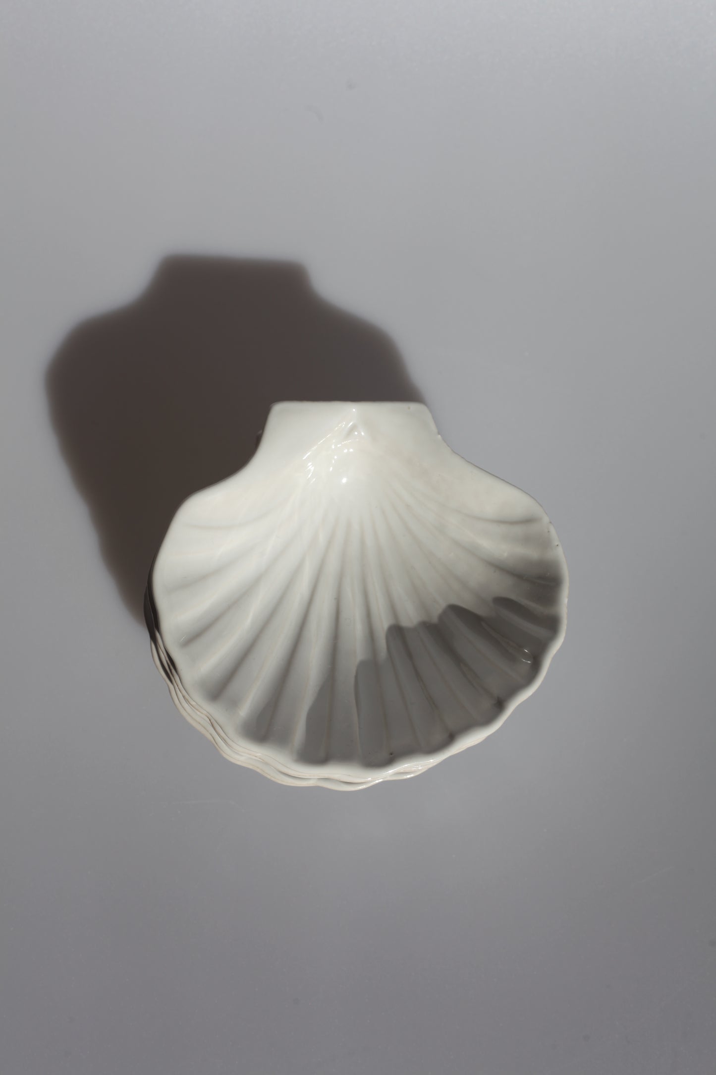 Schelpen bakje