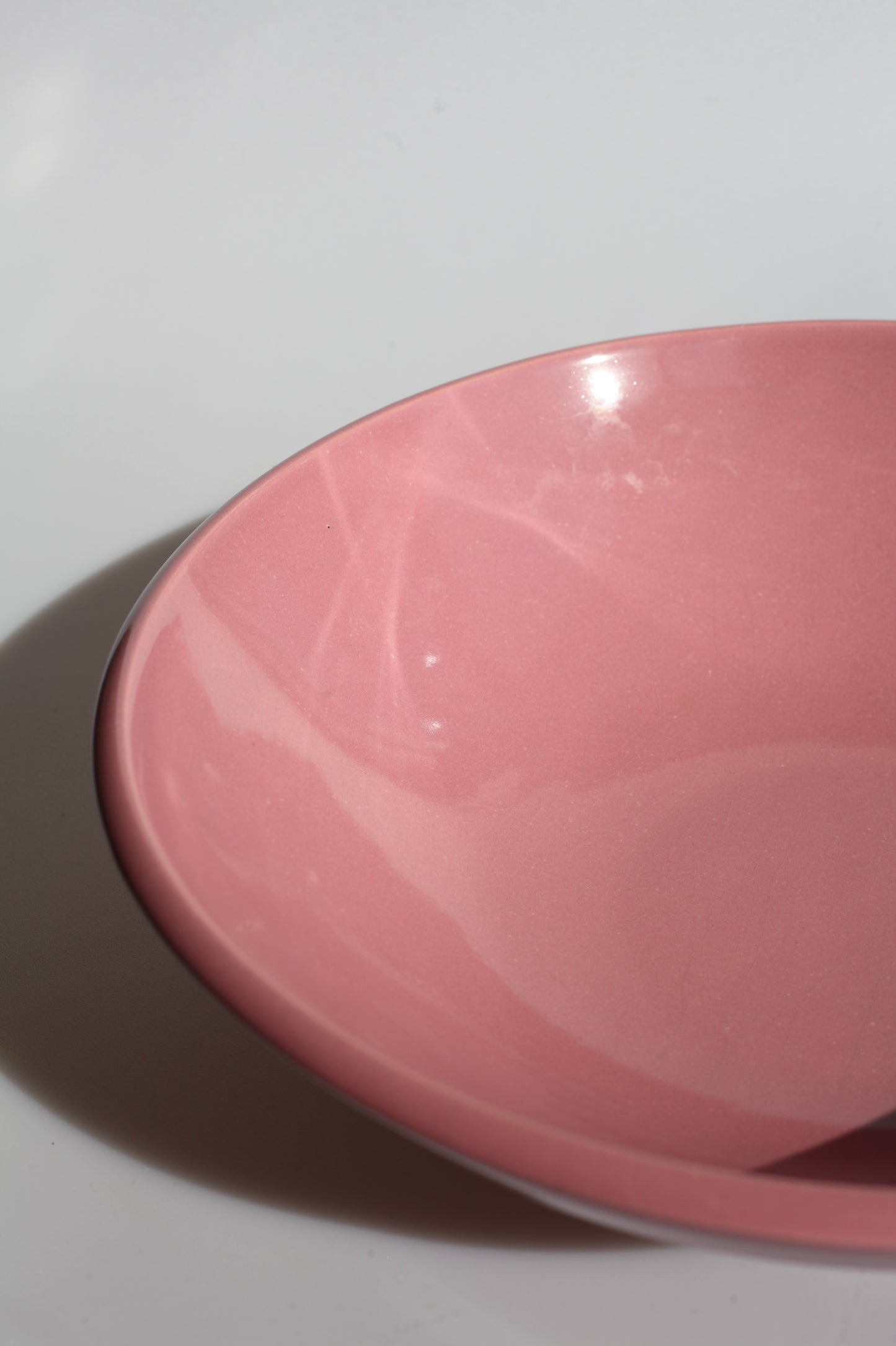 Grote roze schaal